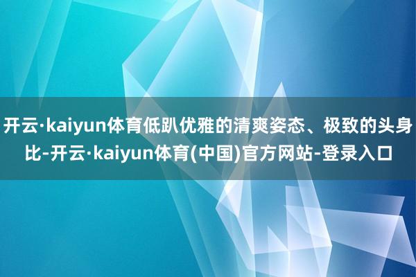 开云·kaiyun体育低趴优雅的清爽姿态、极致的头身比-开云·kaiyun体育(中国)官方网站-登录入口