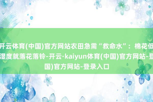 开云体育(中国)官方网站农田急需“救命水”：棉花低于60%湿度就落花落铃-开云·kaiyun体育(中国)官方网站-登录入口