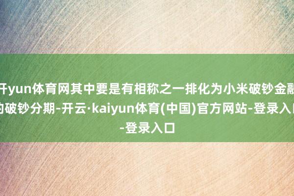 开yun体育网其中要是有相称之一排化为小米破钞金融的破钞分期-开云·kaiyun体育(中国)官方网站-登录入口